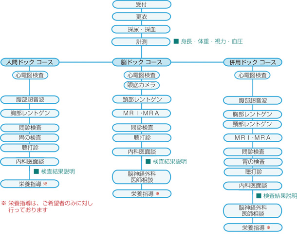 人間ドック検査の流れ図