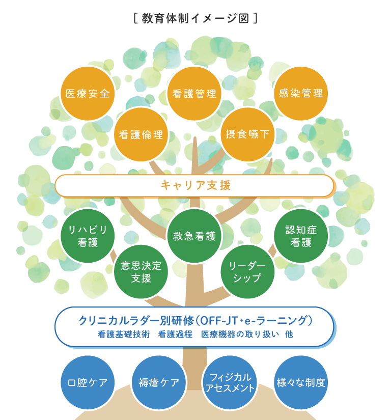 教育体制イメージ図